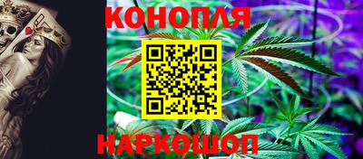 спайс Аша