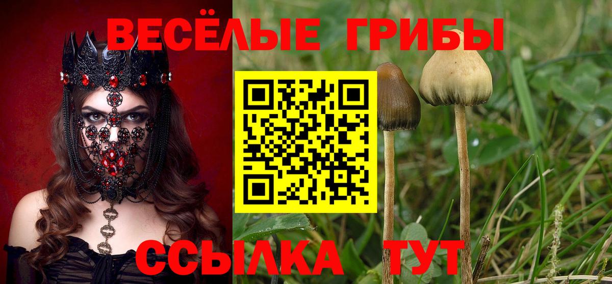 Галлюциногенные грибы Magic Shrooms Орск